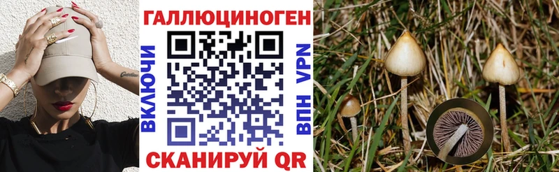 Галлюциногенные грибы мицелий  Приозерск 