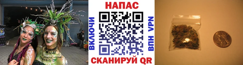 Марихуана семена  Приозерск 